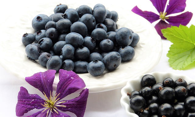 Blueberries and Purple Flowers