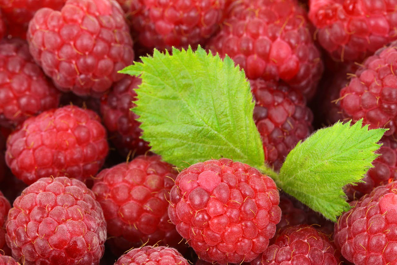 Raspberry breast enhancement natural remedy