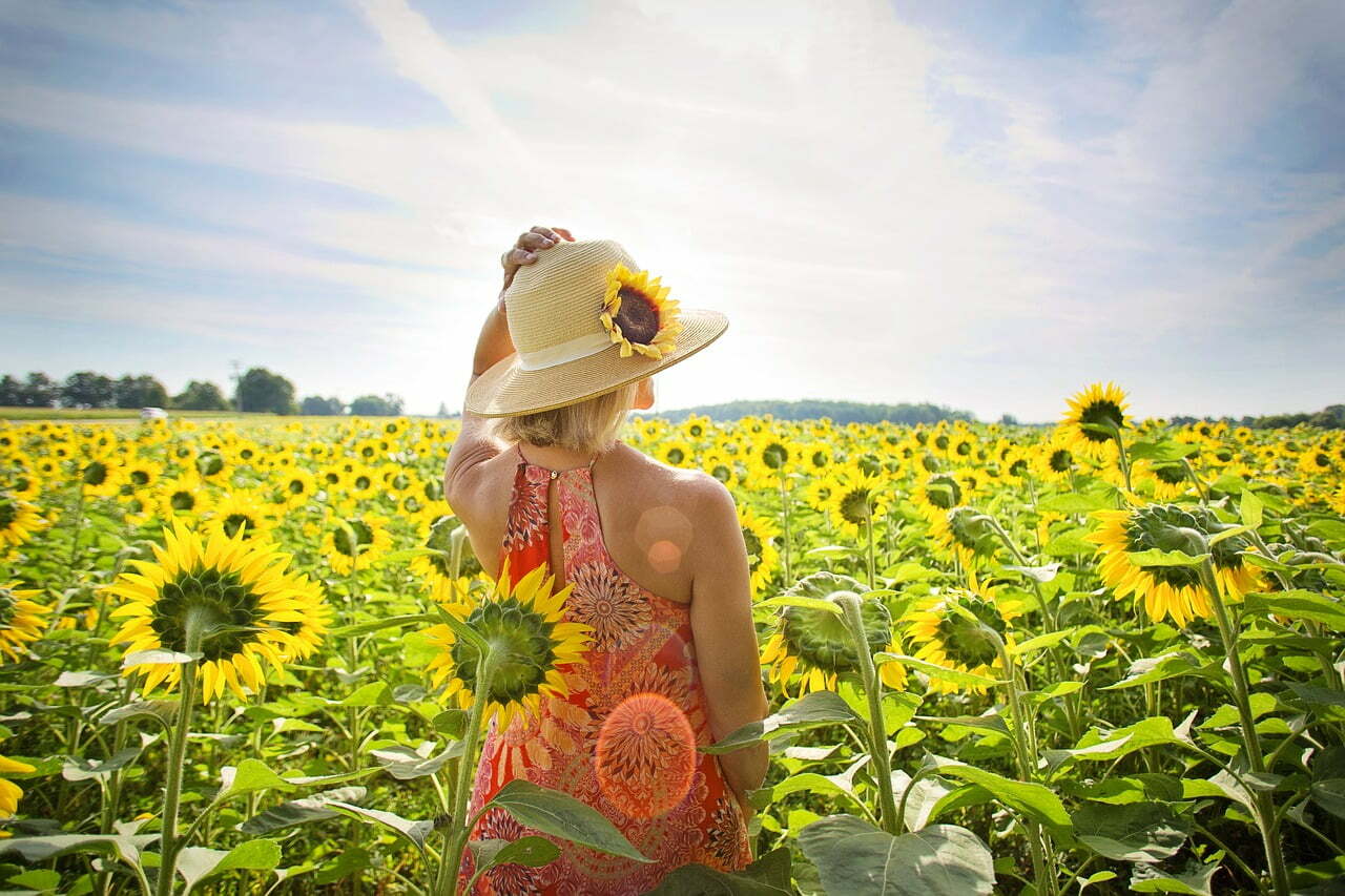 woman in sunflower field