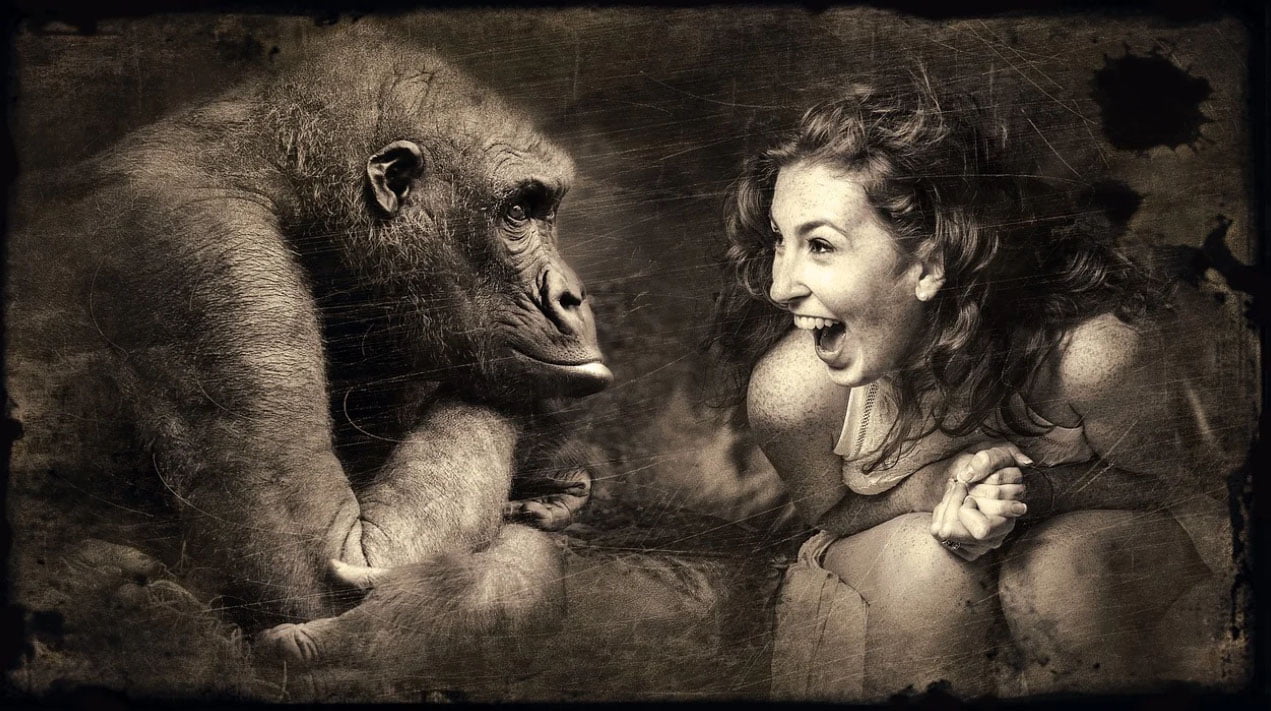 Woman joking with gorilla and laughing