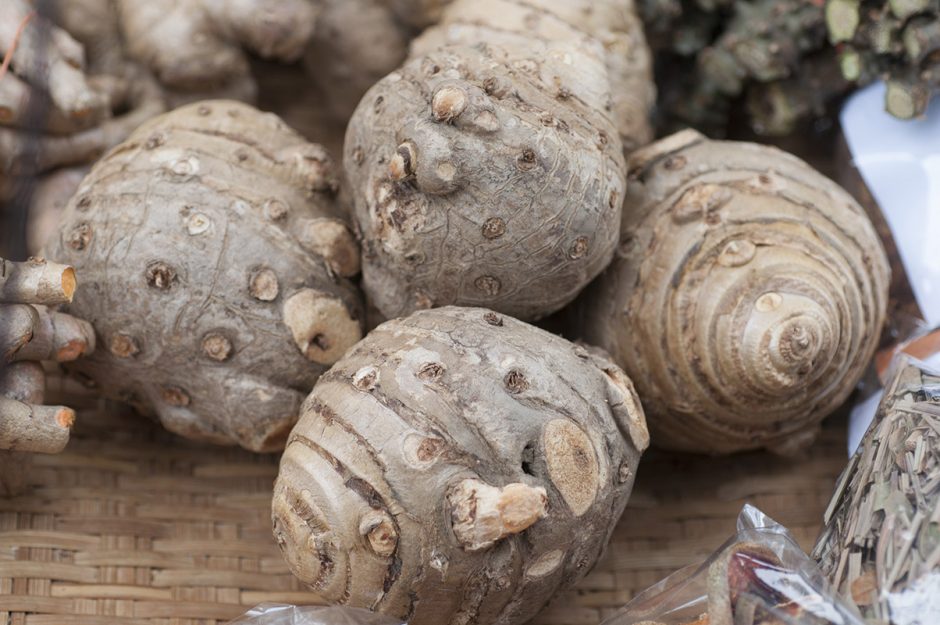 Health Benefits of Pueraria Mirifica
