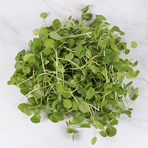Watercress Leaves in BreastActives