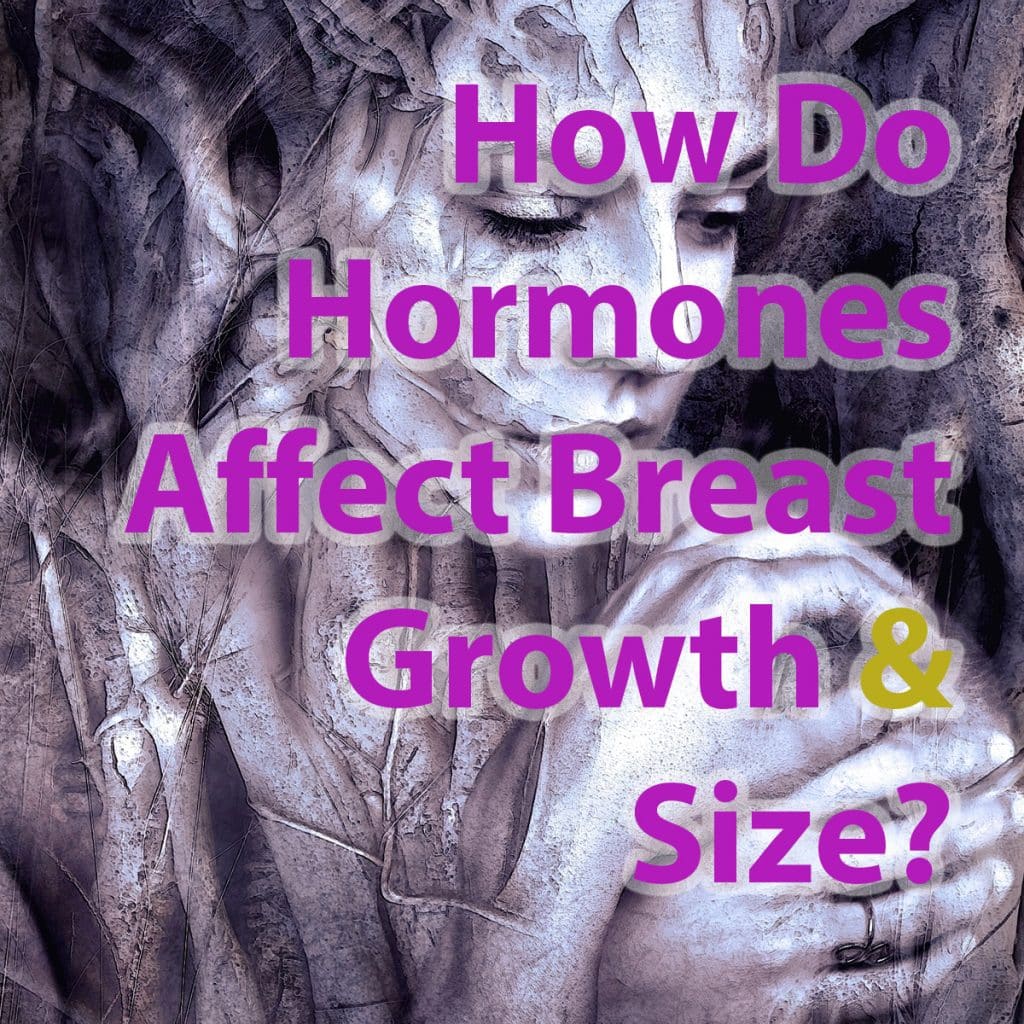 How Do Hormones Affect Breast Growth & Size?